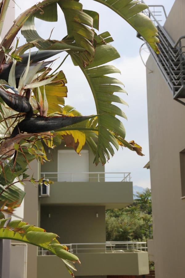 Kamares Apts - Antonis Cozy Maisonette خانيا المظهر الخارجي الصورة