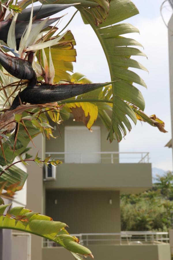 Kamares Apts - Antonis Cozy Maisonette خانيا المظهر الخارجي الصورة